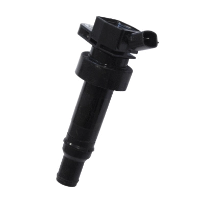 Ignition Coil (134080)