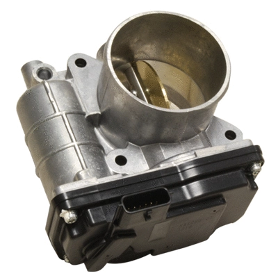 Throttle Body (138548)