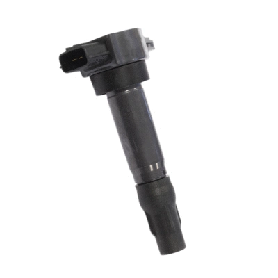 Ignition Coil (134077)