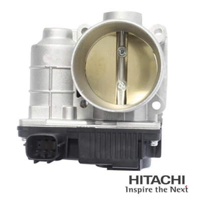 Throttle Body (2508539)