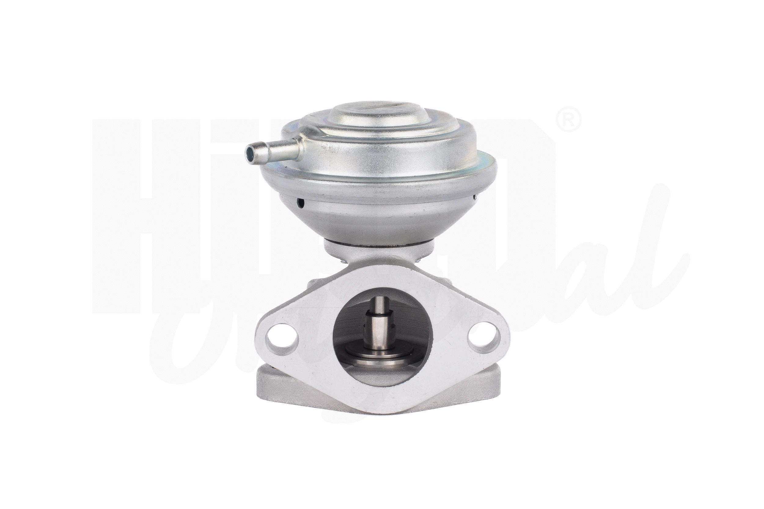 EGR Valve (2505960)