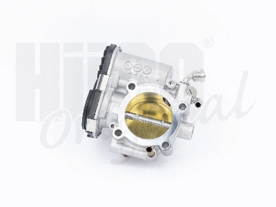 Throttle Body (138600)