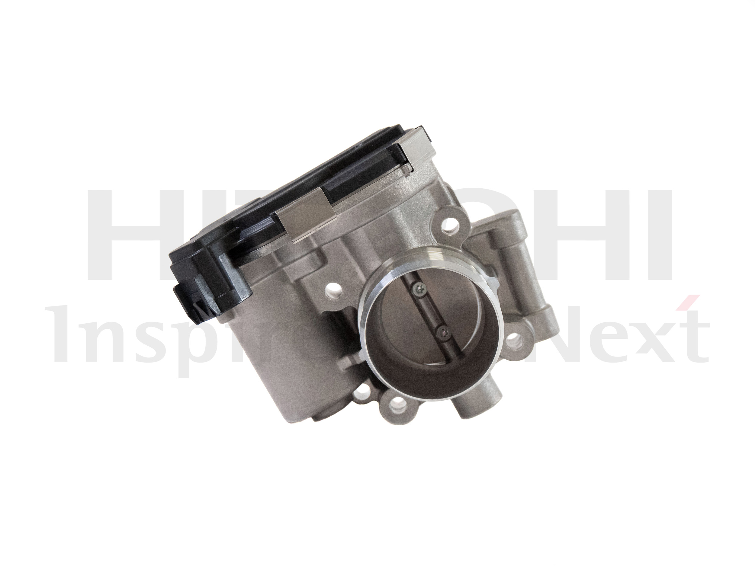 Throttle Body (2509008)