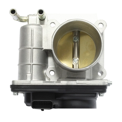 Throttle Body (138538)