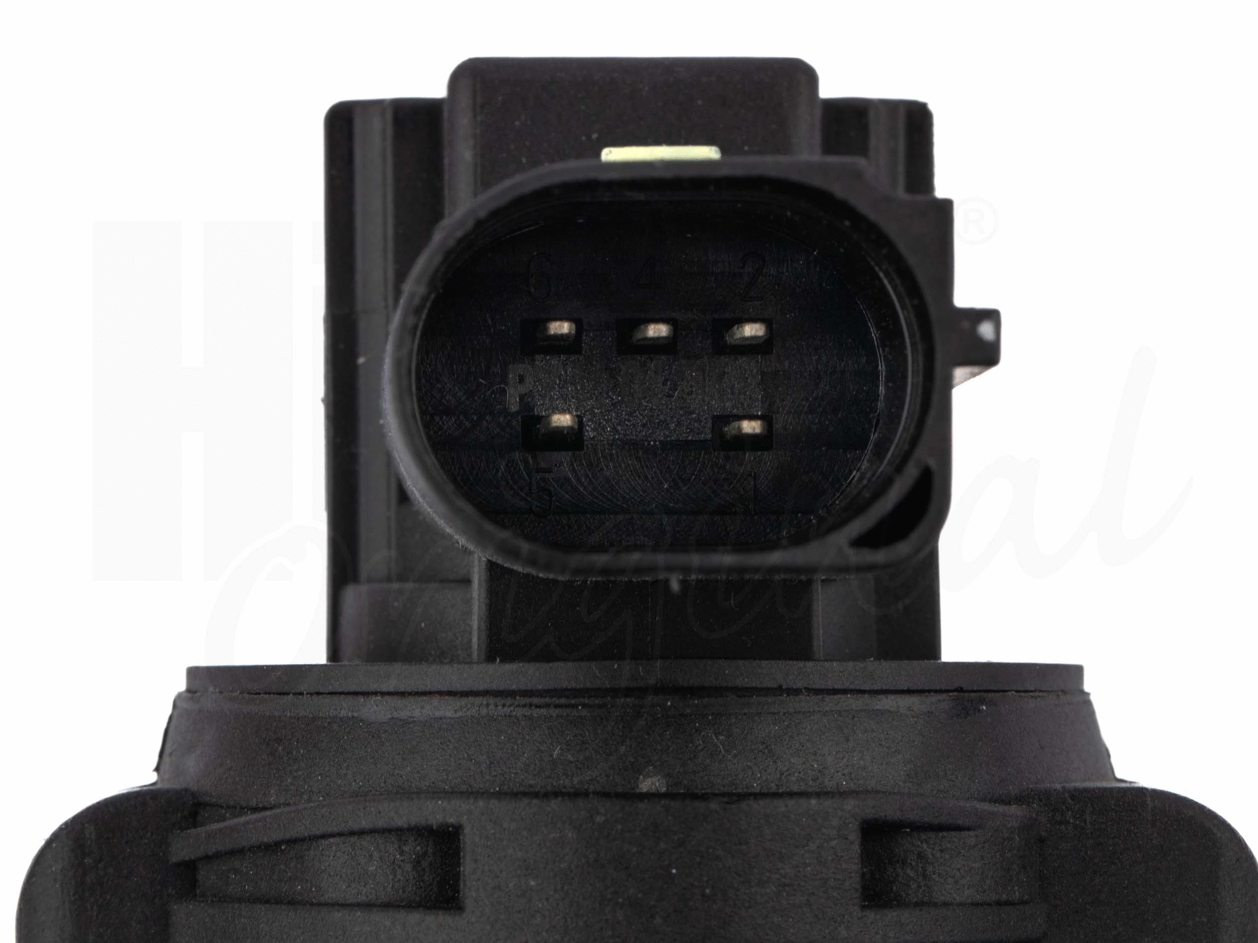 EGR Valve