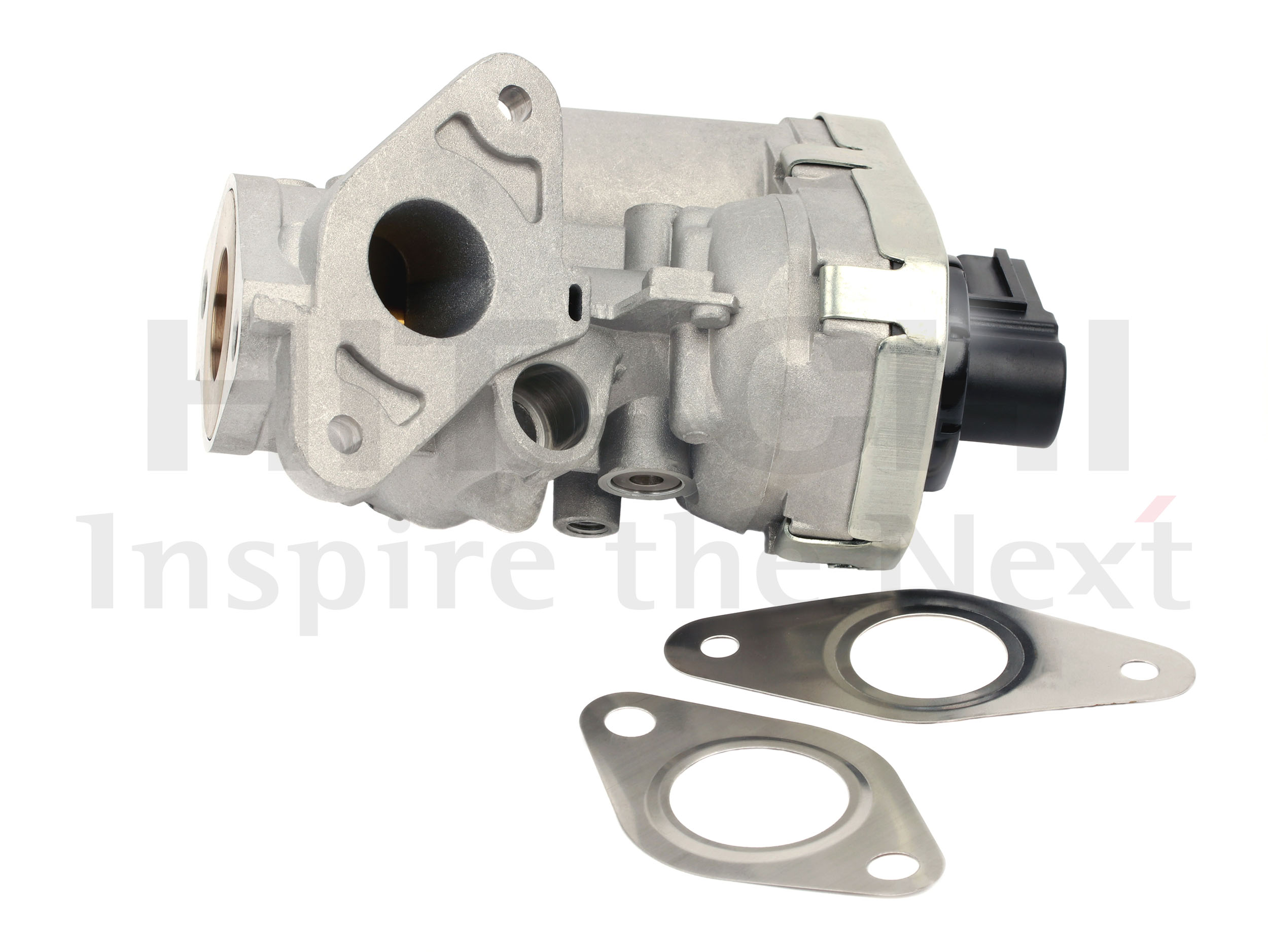 EGR Valve (2508468)