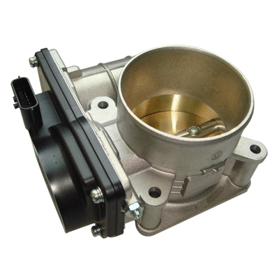 Throttle Body (138551)