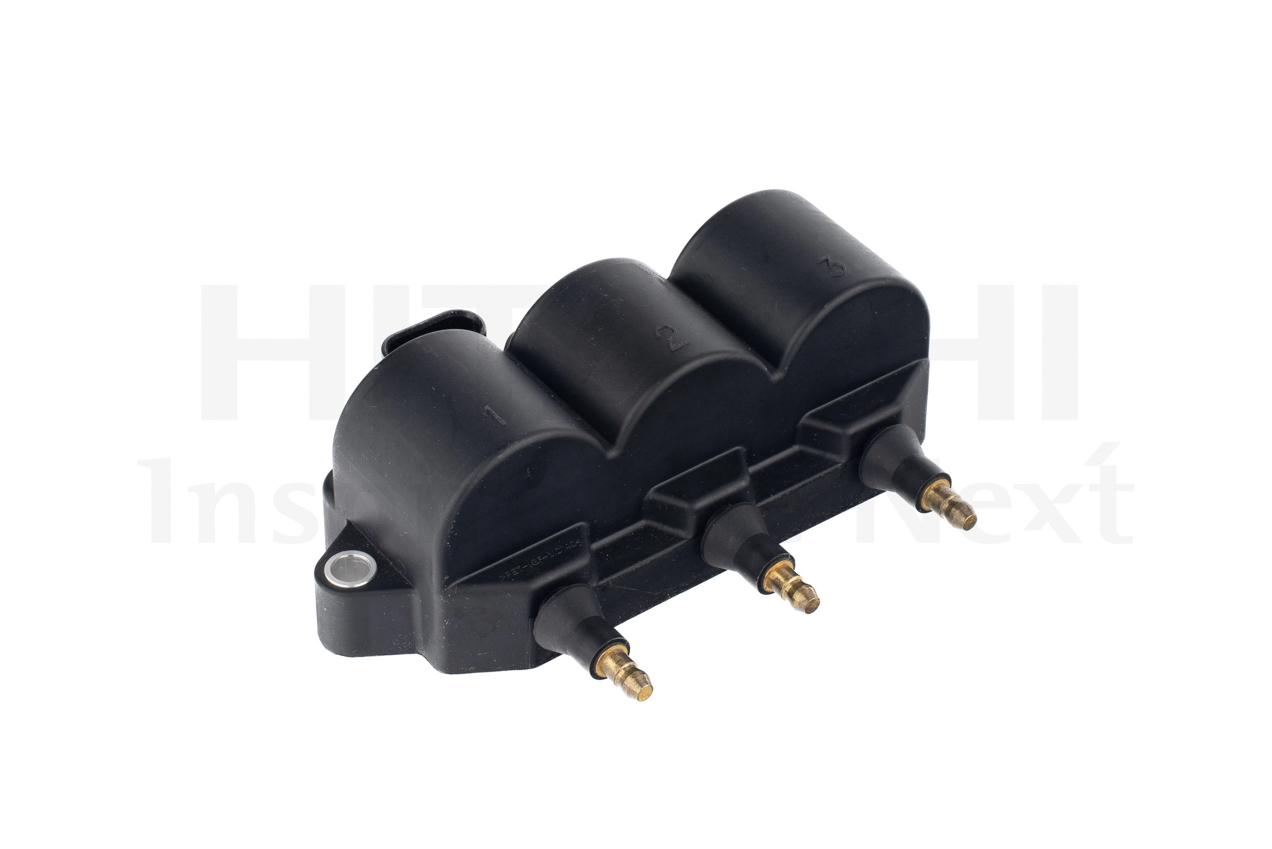 Ignition Coil (2508881)