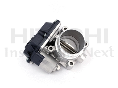 Throttle Body (2508565)