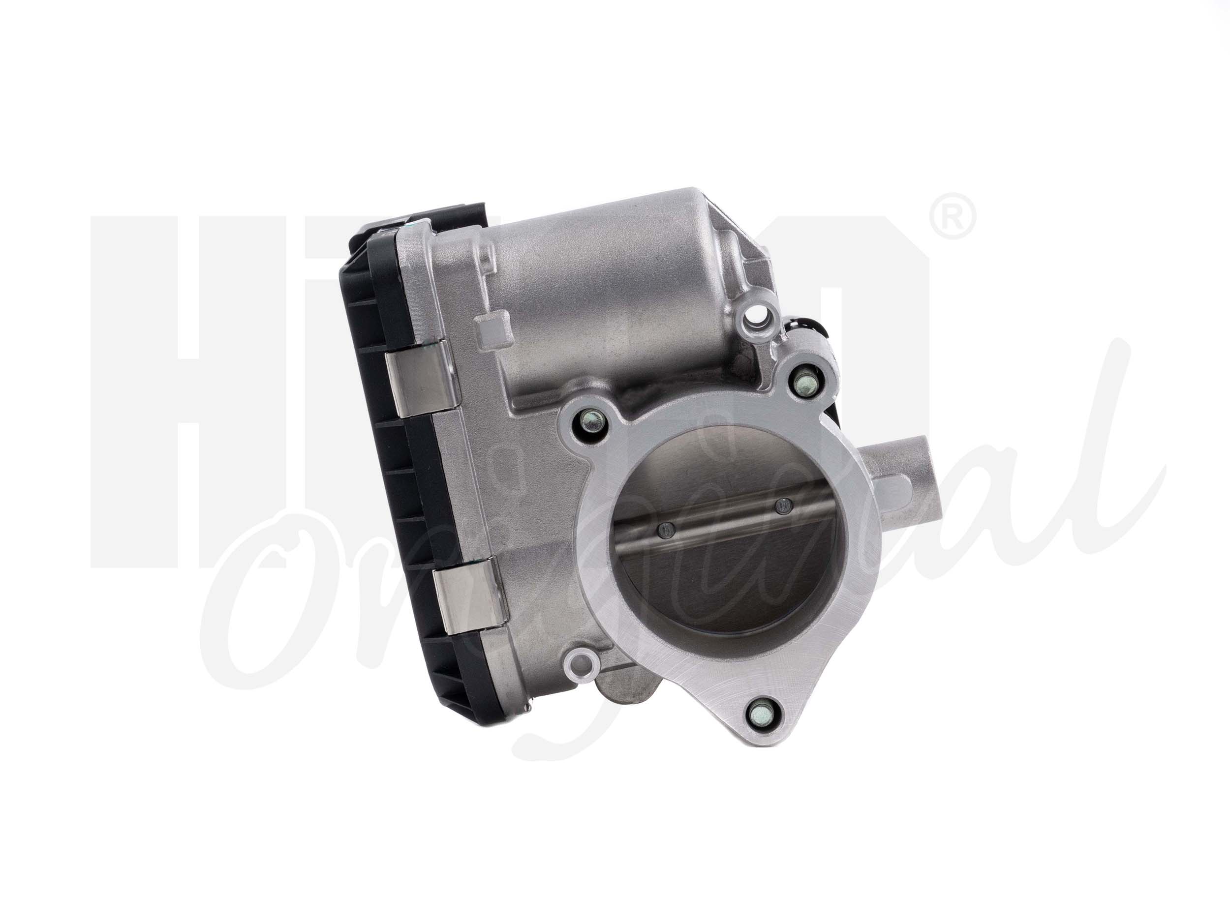 Throttle Body (138521)