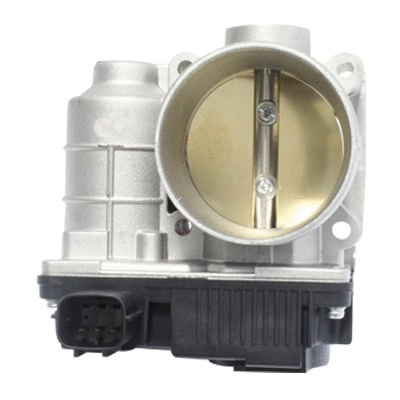 Throttle Body (138539)