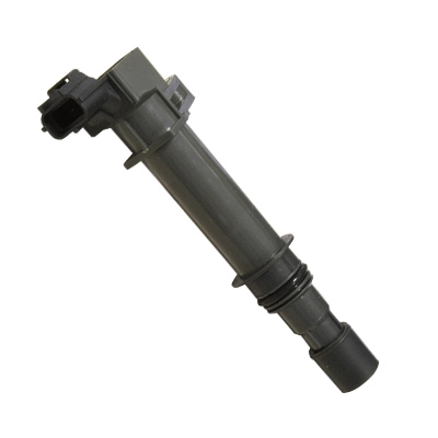 Ignition Coil (134056)
