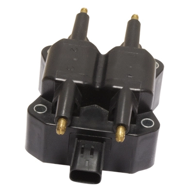 Ignition Coil (138830)