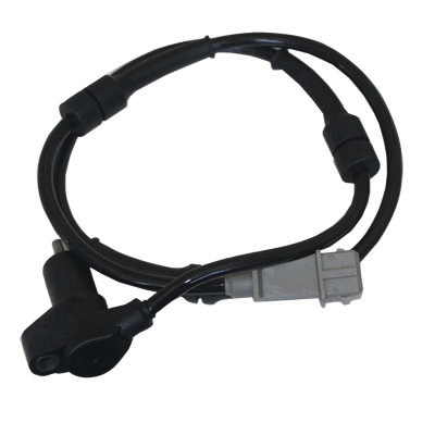 Sensor, wheel speed (131555)