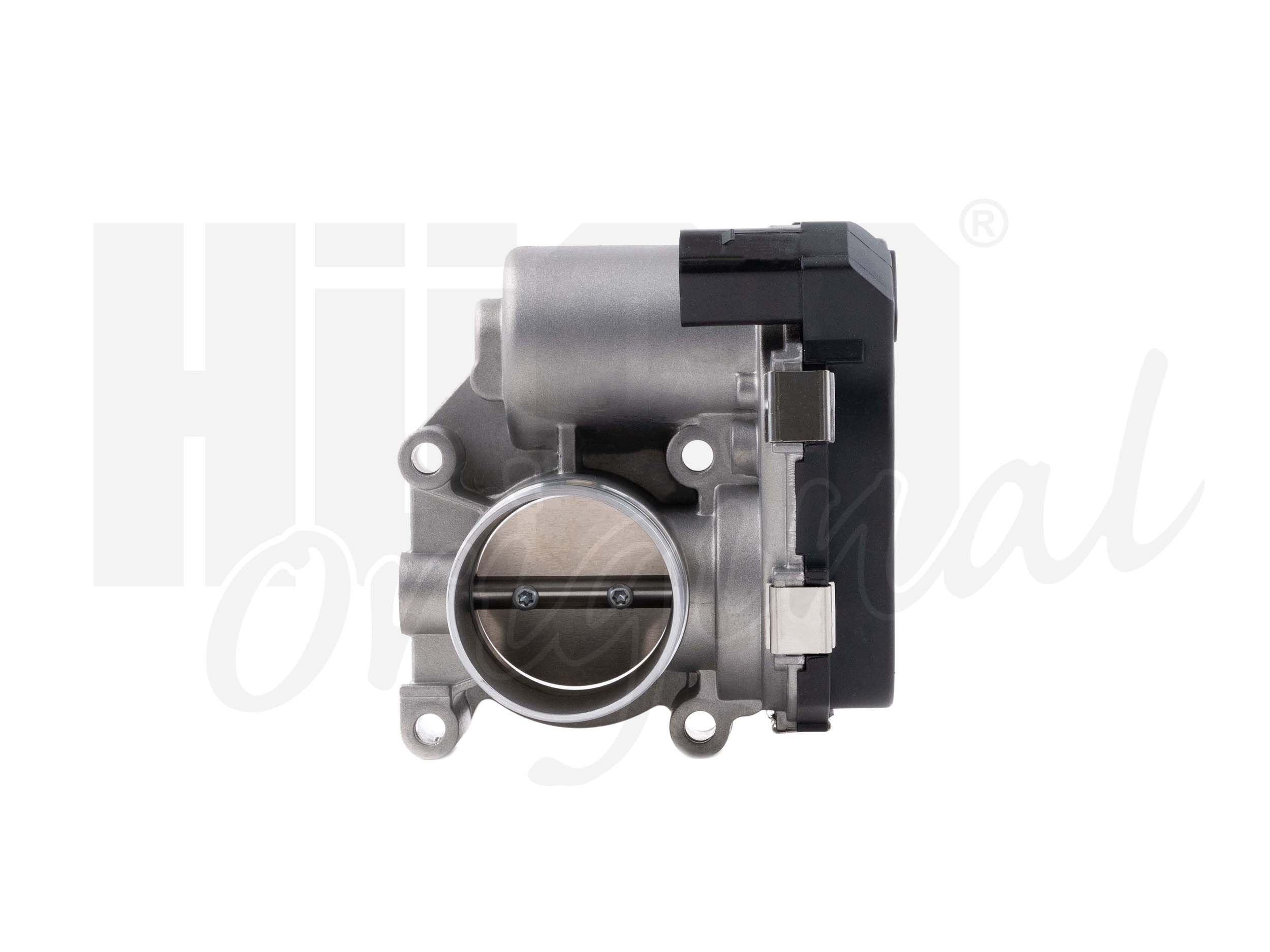 Throttle Body (138517)