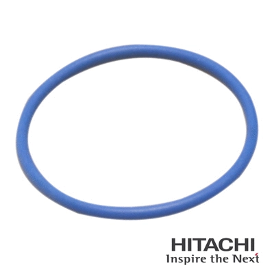 Gasket, fuel pump (2503056)