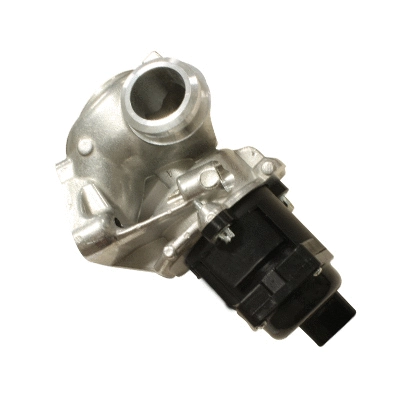 EGR Valve (138481)