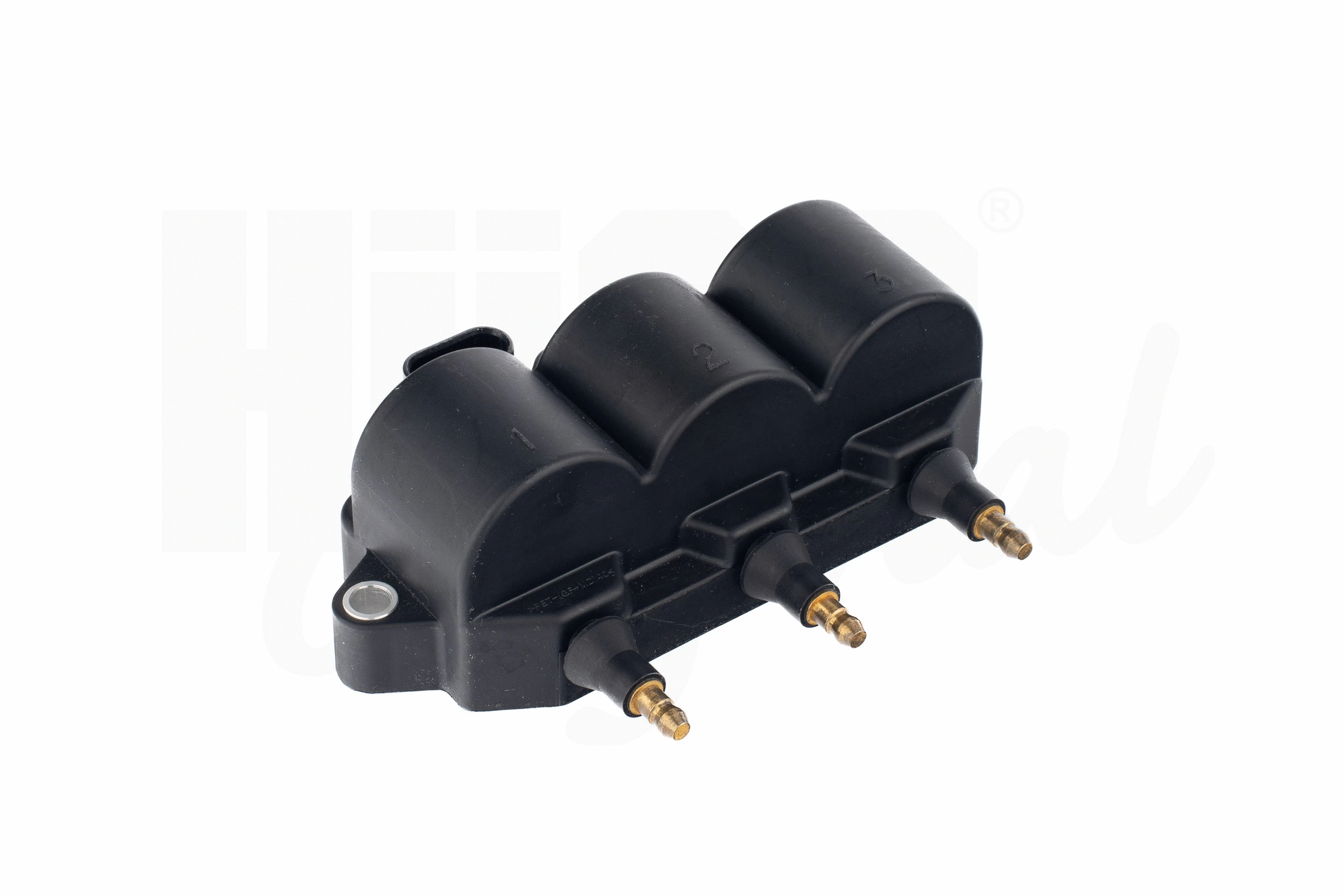 Ignition Coil (138881)