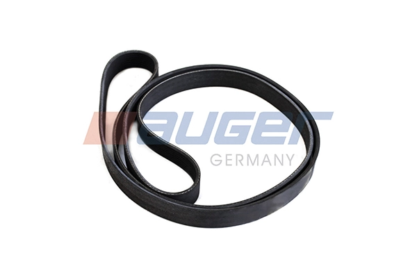 V-Ribbed Belt (80023)