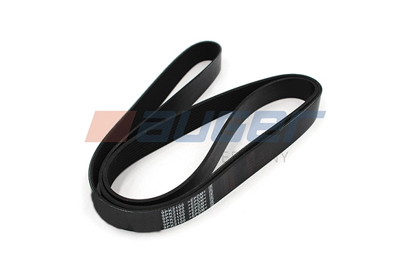 V-Ribbed Belt (79970)