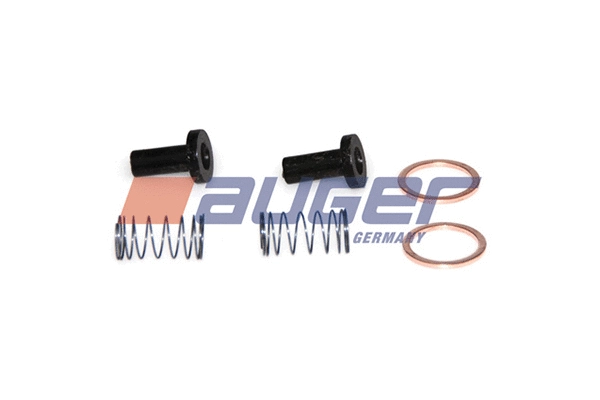 Repair Kit, fuel pump (71533)