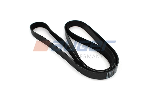 V-Ribbed Belt (79951)
