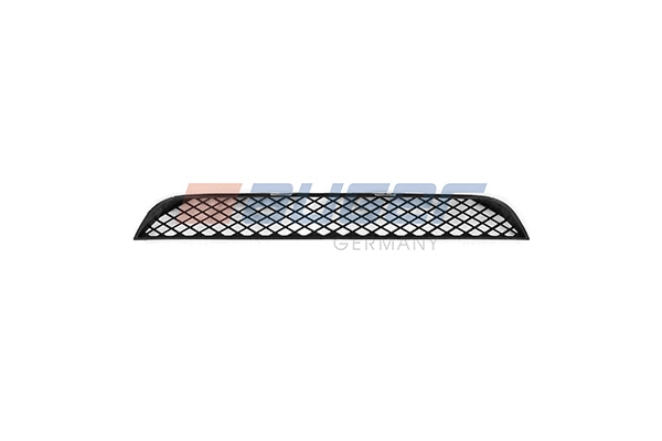 Radiator Grille (84301)