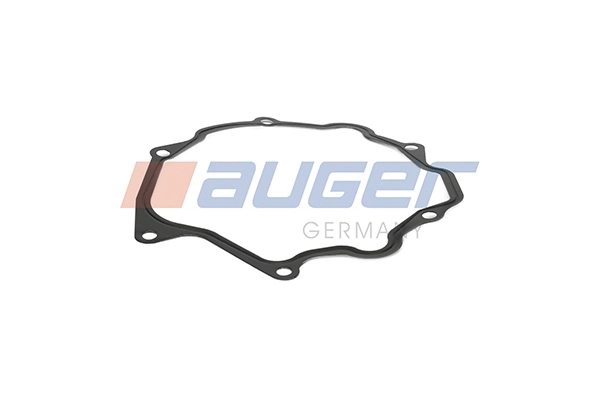 Gasket, water pump (101165)