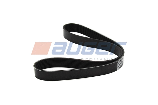V-Ribbed Belt (80063)