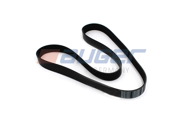 V-Ribbed Belt (79919)