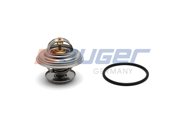 Thermostat, coolant (86001)