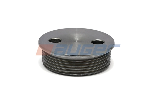 Screw Plug, crankcase (103213)