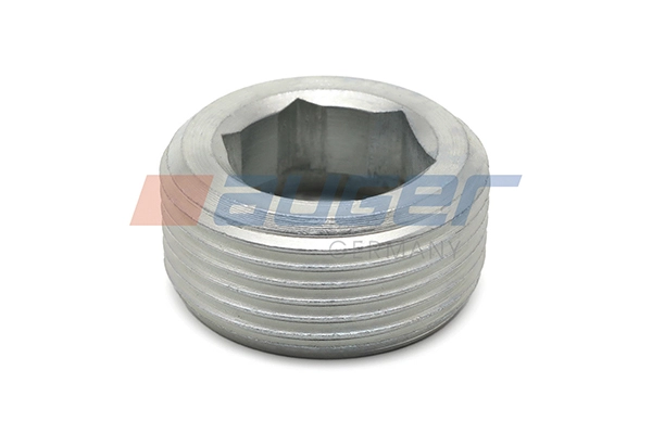 Sealing-/Protection Plugs (82174)