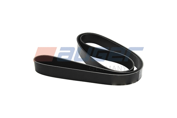 V-Ribbed Belt (79960)