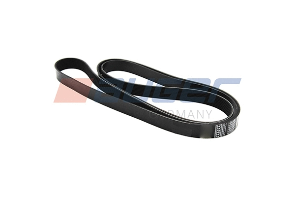 V-Ribbed Belt (79978)