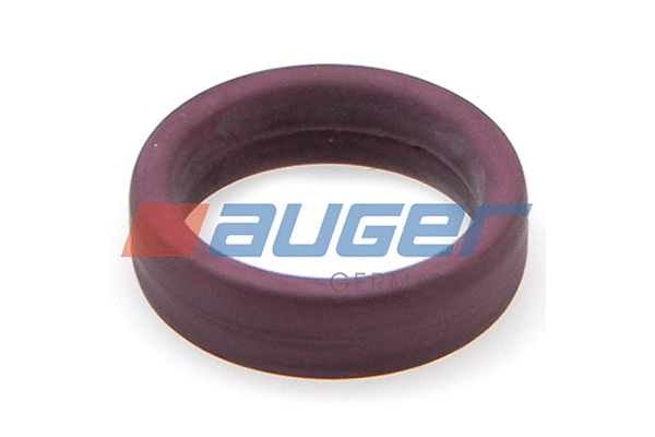 Gasket, water pump (58840)