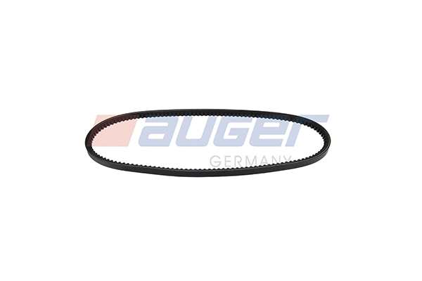V-Belt (79859)