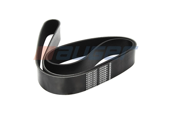 V-Ribbed Belt (80008)