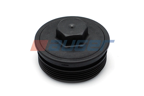 Cover, fuel filter (81202)