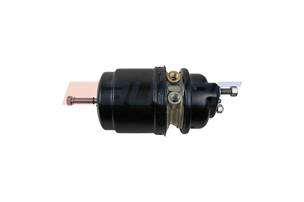 Spring-loaded Cylinder (21333)