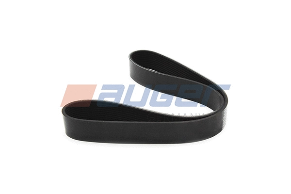 V-Ribbed Belt (79979)