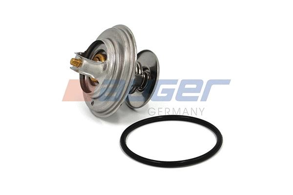 Thermostat, coolant (86000)