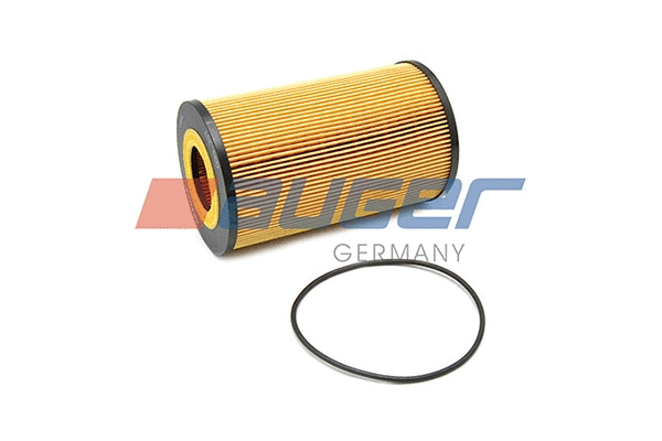 Oil Filter (77851)