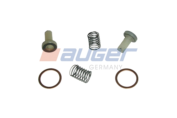 Repair Kit, fuel pump (87450)