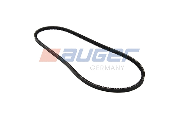 V-Belt (79821)