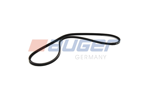 V-Belt (79844)
