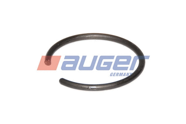 Circlip (59739)