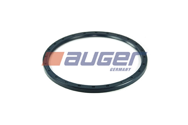 Seal Ring, steering knuckle (leaf spring hanger) (69195)