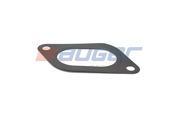 Gasket, water pump (87162)