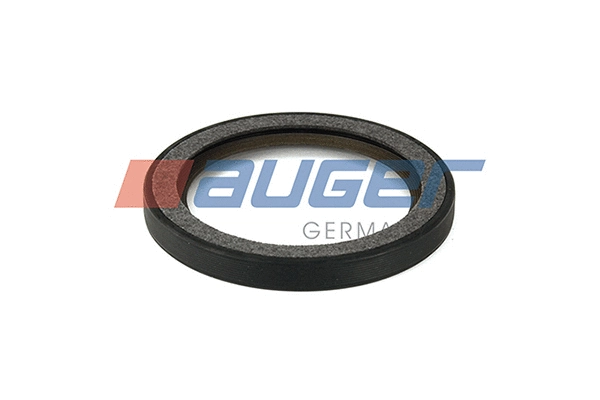 Shaft Seal, crankshaft (69367)